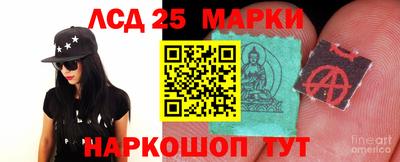 ГАЛЛЮЦИНОГЕННЫЕ ГРИБЫ Свободный