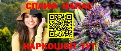 ГАЛЛЮЦИНОГЕННЫЕ ГРИБЫ Свободный